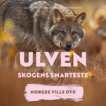 Ulven - Skogens smarteste av Roger Brendhagen og Ole Mathismoen (Nedlastbar lydbok)